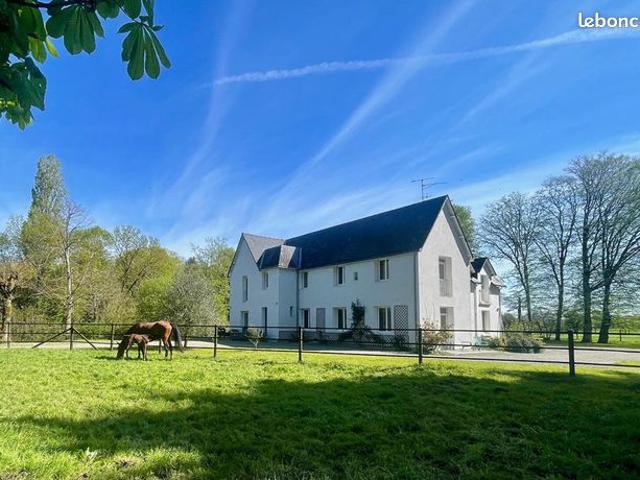 Propriété 8 pièces 260 m²