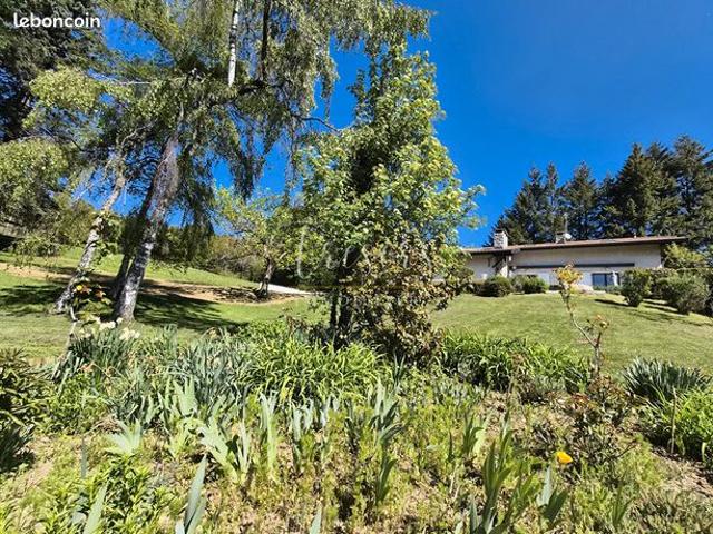 Propriété 8 pièces 393 m²