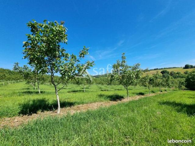 Propriété 8 pièces 92 m²