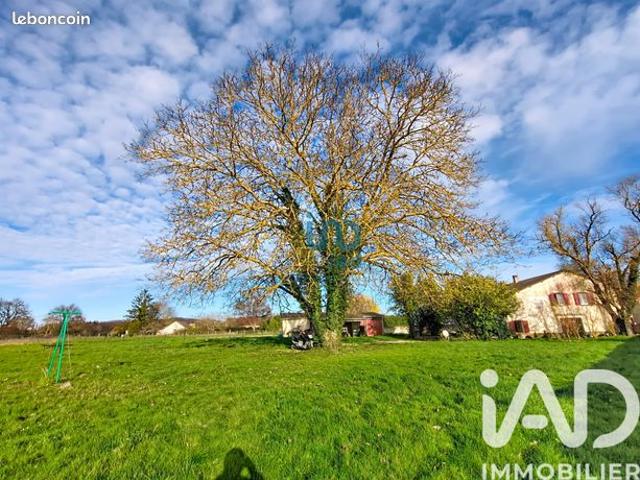 Propriété 9 pièces 239 m²