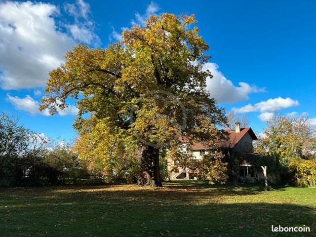 Propriété 9 pièces 250 m²