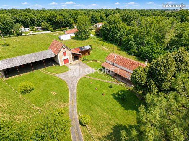 Propriété 9 pièces 261 m²