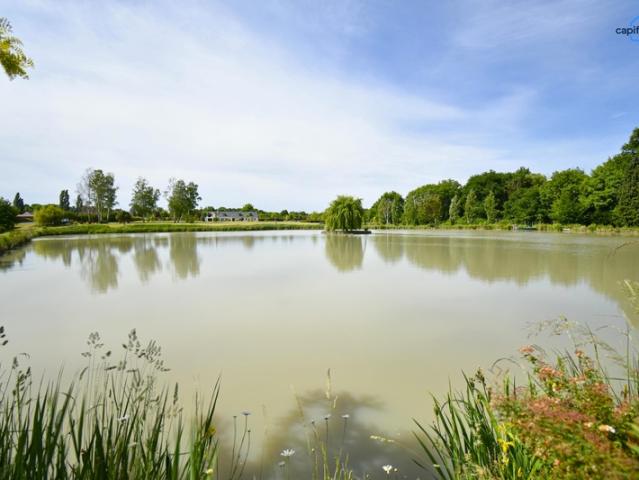 Propriete à vendre 11 pièces VERNOU EN SOLOGNE 41