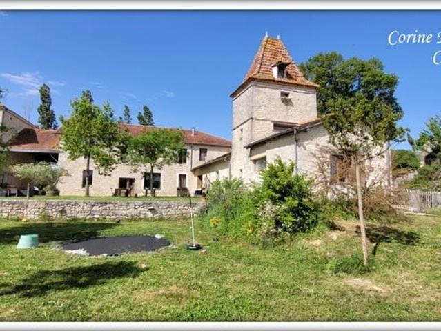 Propriete à vendre 22 pièces proche de Agen 47 4 habitatio. 885m² Agen