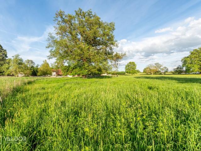 Propriété de 2 hectares avec maison de 190 m², piscine et dépend