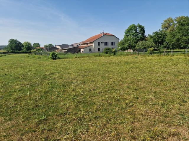 PROPRIÉTÉ à vendre 8 pièces proche NANCY 54 sur 1,8 HECTARE PROPRIÉTÉ AGRICOLE avec FERME rénovée, DEPENDANCES, ECURIES, GRANGES