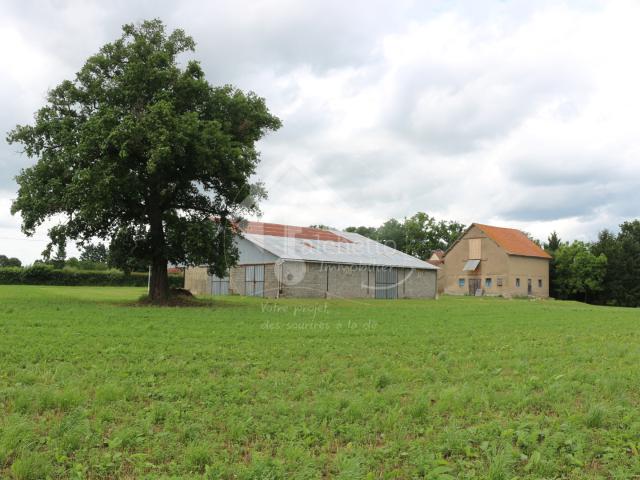 Propriété agricole +4ha Montaigu le Blin