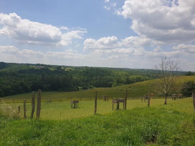 Propriété agricole du bas Quercy à 15km de Montauban dans un. 400m² Montauban