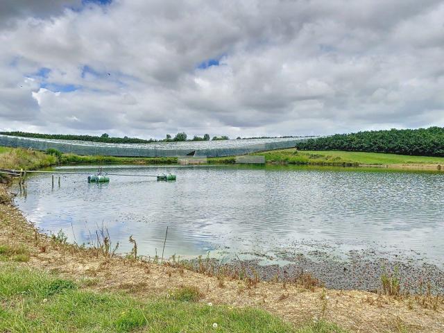 Propriété arboricole 180m² Castelsarrasin