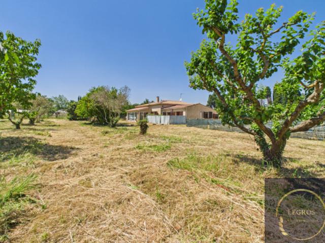 Propriété avec une Maison, un appartement et oliveraie,15 00