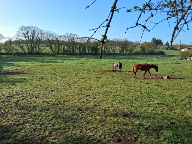 Propriété avec centre équestre sur plus de 3 hectares 146m² Maine de Boixe