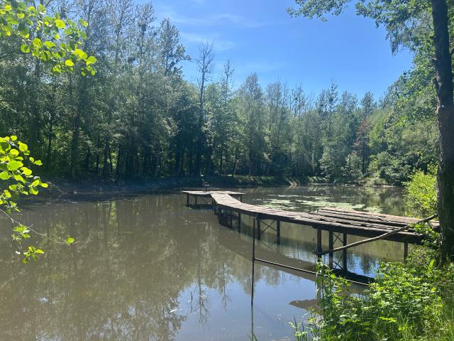 PROPRIETE AVEC ETANG