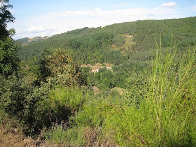 Propriété avec jardin