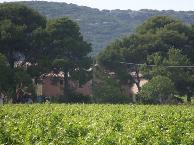 Propriété avec jardin