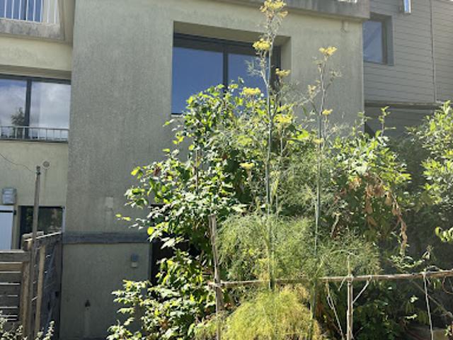Propriété avec jardin