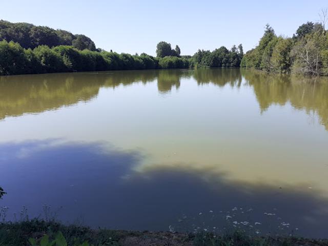 Propriété avec jardin
