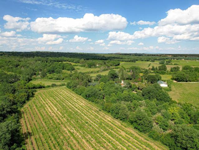 Propriété avec piscine et jardin