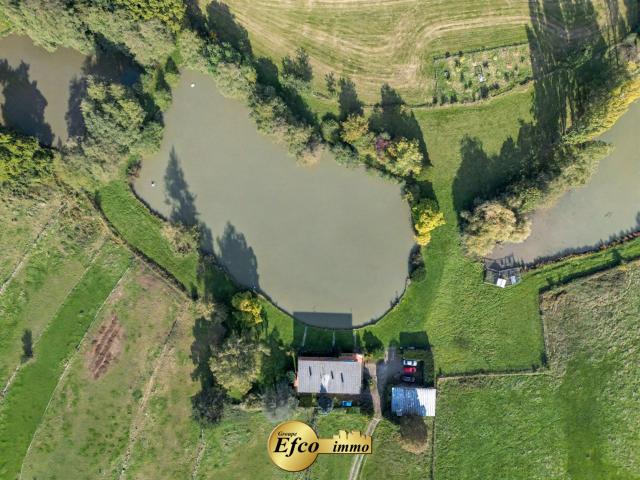 Propriété d’exception avec 3 étangs, maison et dépendance à. 185m² Sternenberg