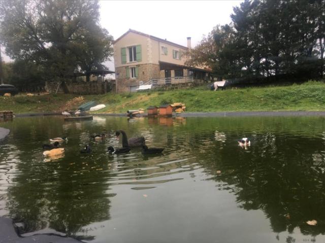 Domaine de charme avec hébergements touristiques et activité professionnelle