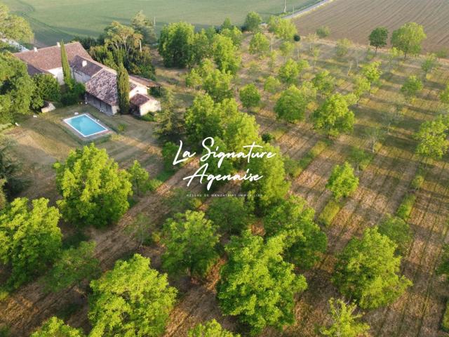 Propriété de 297m² avec terrain arboré de 2 hectares et 5214 297m² Nérac