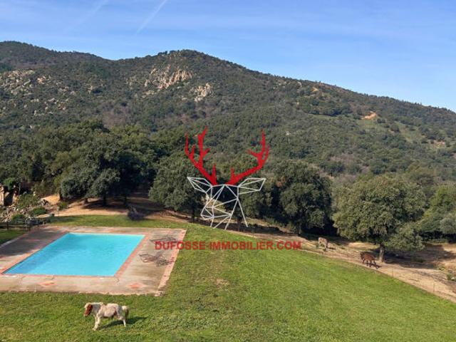 Propriété de 2 hectares près du Golfe de Saint Tropez