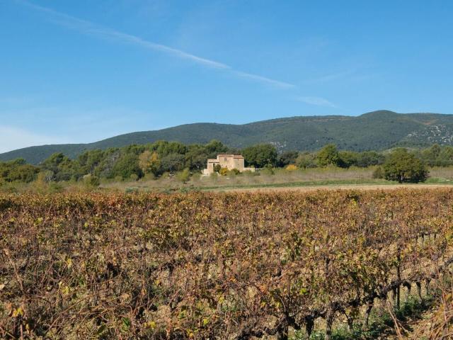 Propriété de 2 Mas Provençaux sur 5 hectares au pied du Luberon