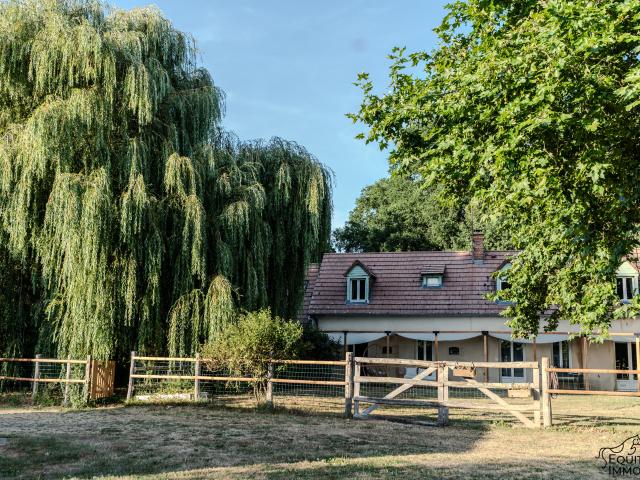 Propriété de 5ha40 et deux maisons