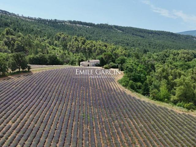 Propriété de Campagne de prestige de 14 pièces en vente Céreste, France