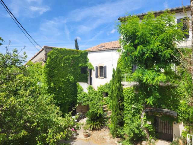 Propriété de caractère avec 2 maisons d'amis, 2 piscines et. 449m² Bize Minervois