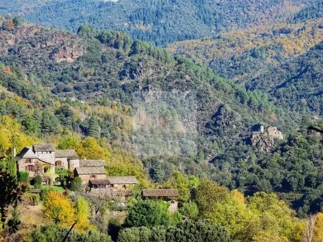 Propriété De Caractère 0m² Saint Germain de Calberte