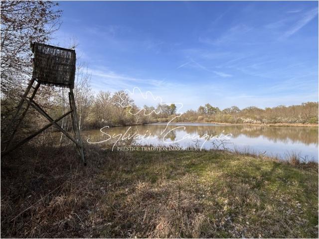 Propriété de Chasse et d'Agrément de 125 hectares en Sologne