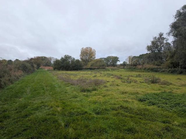 Propriété de chasse proche Vendôme