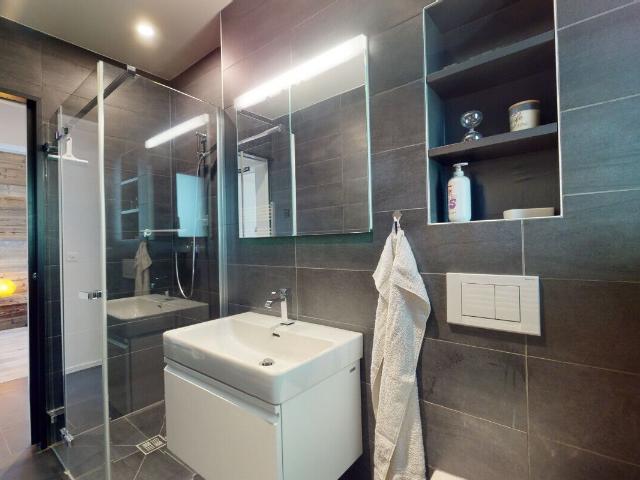 Propriété de standing chalet de 2 appartements à Leysin | dreamo. Ch