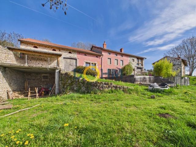 Propriété en pierre de caractère avec gîte indépendant, pisc