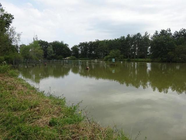 Propriété equestre 7 pièce s