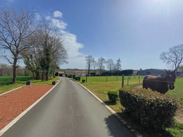 Propriete Equestre 6 Hectares Piscine 8 Boxes Chevaux 137m² Roumazières Loubert