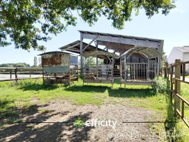 Propriété équestre 90m² Héric