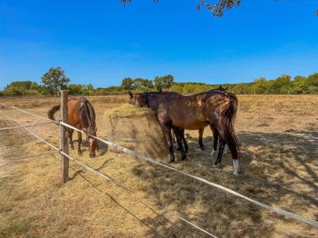Domaine équestre 28 ha à Ménesplet Dordogne 24