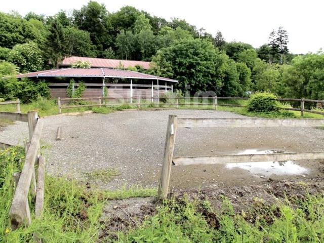 Propriété équestre à fort potentiel avec 2 hectares proche Genève