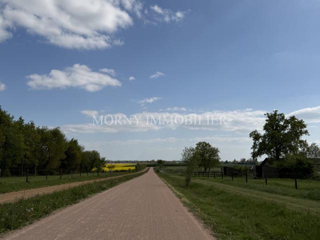 PROPRIÉTÉ ÉQUESTRE D'EXCEPTION HARAS HAUT DE GAMME BÂTI SU