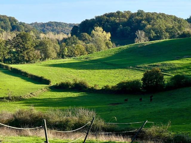 Propriété équestre de 32 hectares