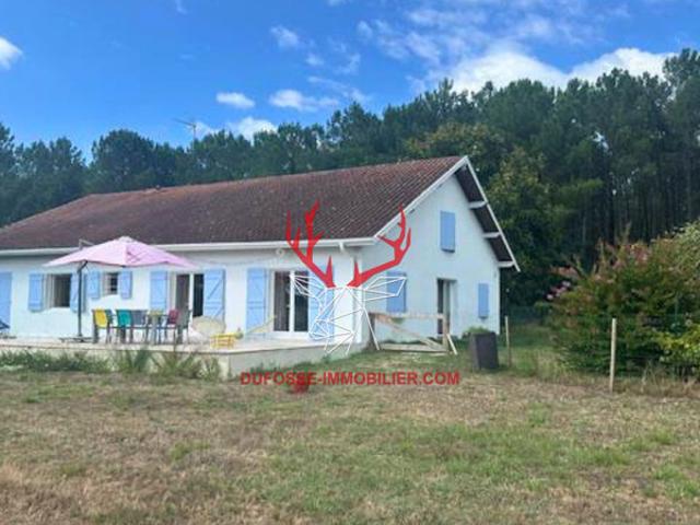 Propriété équestre de 5 hectares