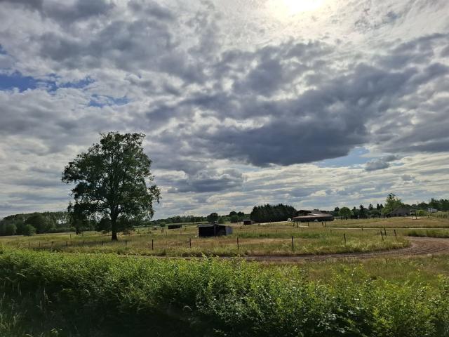 Propriété équestre sur plus de 5 hectares Secteur Forêt 45m² Sancoins