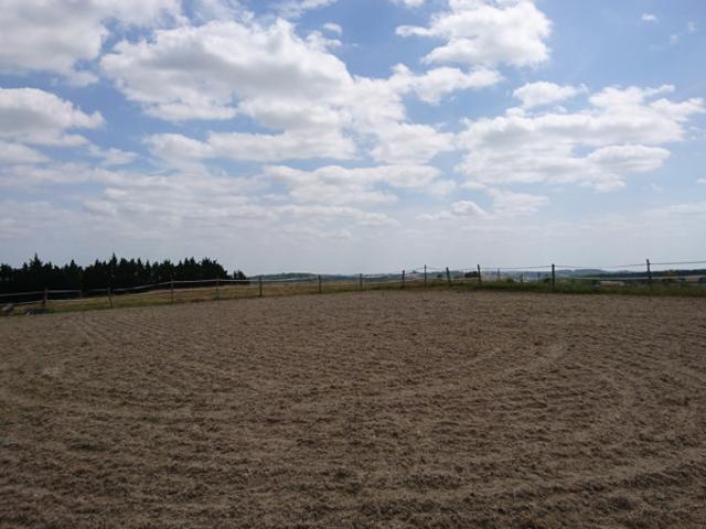 Propriété équestre sur 5 hectares