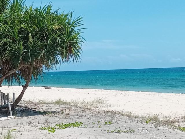 Propriété EXCEPTIONNELLE 350m front de mer, 3 cottages sur 7 hectares à l'Est de Sumba en Indonésie !