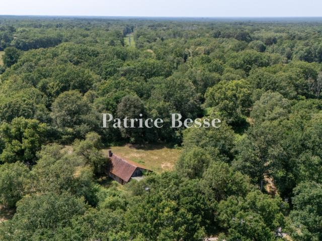 Propriété forestière et territoire de chasse de 150 ha à pro. 80m² Salbris