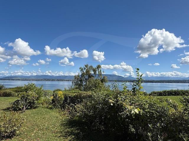 Single family house on sale in Versoix Ref 20253 | dreamo. Ch