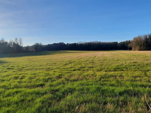 Propriété idéale chevaux à 15 mn de Saintes sur 2,8 ha 137m² Soulignonne