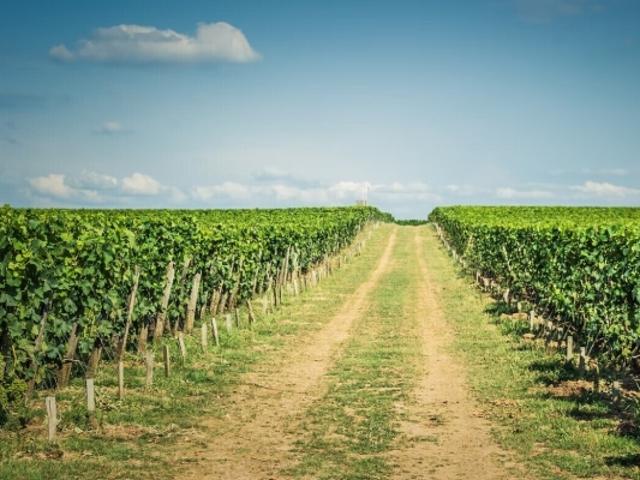 Propriété Saint Émilion 300m²