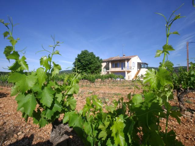 Propriété sur environ 5ha de vignes COTIGNAC m² Cotignac